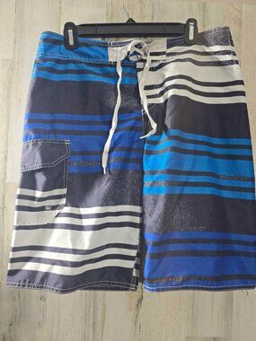 Blue Gear Surf Skate Board Shorts, Men's 32 Polyester Blue Stripe E5